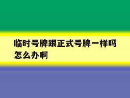 临时号牌跟正式号牌一样吗怎么办啊
