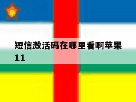 短信激活码在哪里看啊苹果11