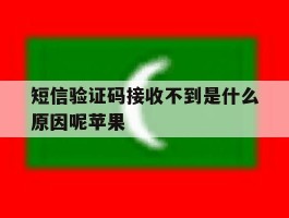 短信验证码接收不到是什么原因呢苹果