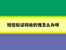 短信验证码收的慢怎么办呀