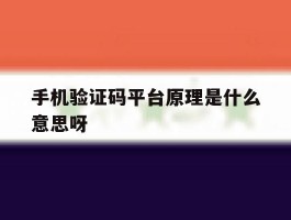 手机验证码平台原理是什么意思呀
