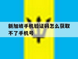新加坡手机验证码怎么获取不了手机号