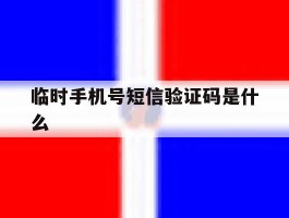 临时手机号短信验证码是什么