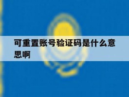 可重置账号验证码是什么意思啊