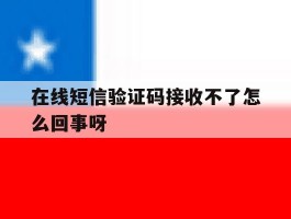 在线短信验证码接收不了怎么回事呀