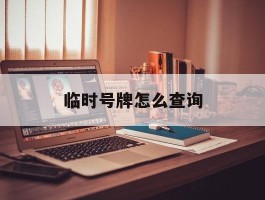 临时号牌怎么查询