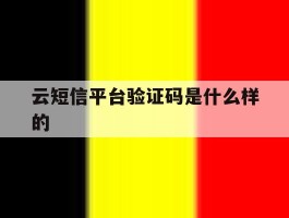 云短信平台验证码是什么样的