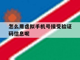 怎么用虚拟手机号接受验证码信息呢