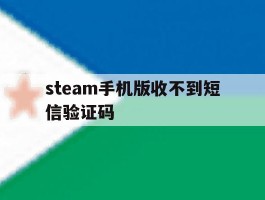 steam手机版收不到短信验证码