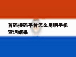 包含首码接码平台怎么用啊手机查询结果的词条
