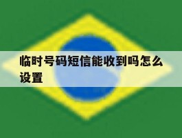 临时号码短信能收到吗怎么设置