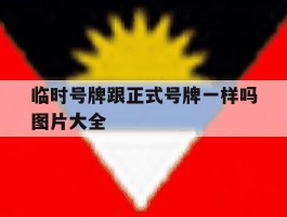 临时号牌跟正式号牌一样吗图片大全