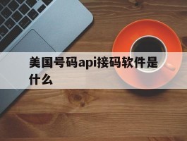 美国号码api接码软件是什么