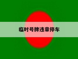 临时号牌违章停车