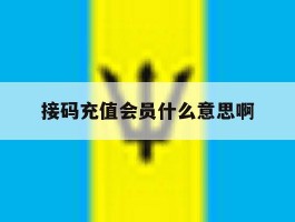 接码充值会员什么意思啊