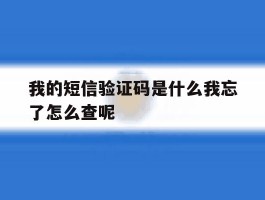 我的短信验证码是什么我忘了怎么查呢的简单介绍
