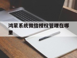 鸿蒙系统微信授权管理在哪里