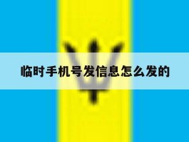 临时手机号发信息怎么发的