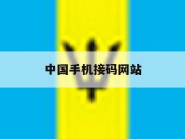 中国手机接码网站