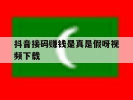 抖音接码赚钱是真是假呀视频下载