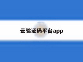 云验证码平台app