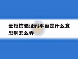 云短信验证码平台是什么意思啊怎么弄