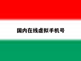 国内在线虚拟手机号