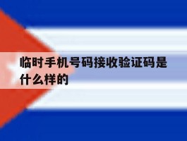 临时手机号码接收验证码是什么样的