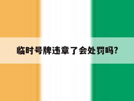 临时号牌违章了会处罚吗?