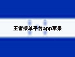 王者接单平台app苹果