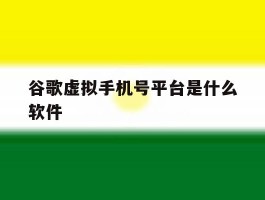 谷歌虚拟手机号平台是什么软件