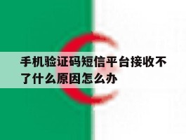 手机验证码短信平台接收不了什么原因怎么办