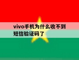 vivo手机为什么收不到短信验证码了