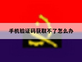 手机验证码获取不了怎么办