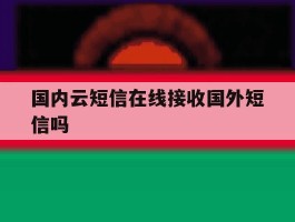 国内云短信在线接收国外短信吗
