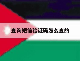 查询短信验证码怎么查的