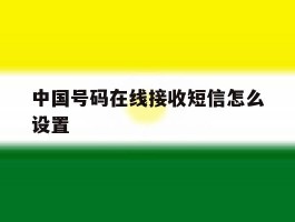 中国号码在线接收短信怎么设置
