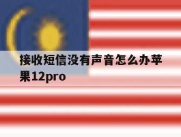 关于接收短信没有声音怎么办苹果12pro的信息