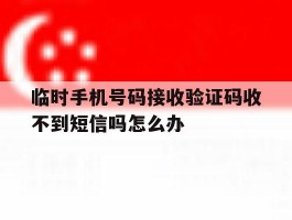 临时手机号码接收验证码收不到短信吗怎么办