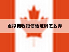 虚拟接收短信验证码怎么弄