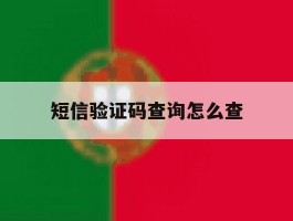 短信验证码查询怎么查