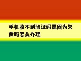 手机收不到验证码是因为欠费吗怎么办理