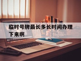 临时号牌最长多长时间办理下来啊