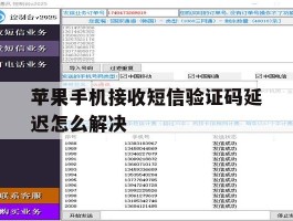 苹果手机接收短信验证码延迟怎么解决