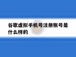 谷歌虚拟手机号注册账号是什么样的