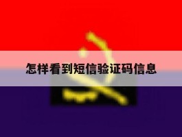 怎样看到短信验证码信息
