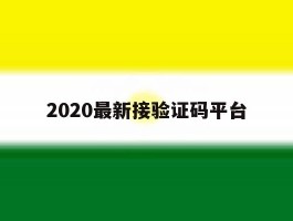 2020最新接验证码平台
